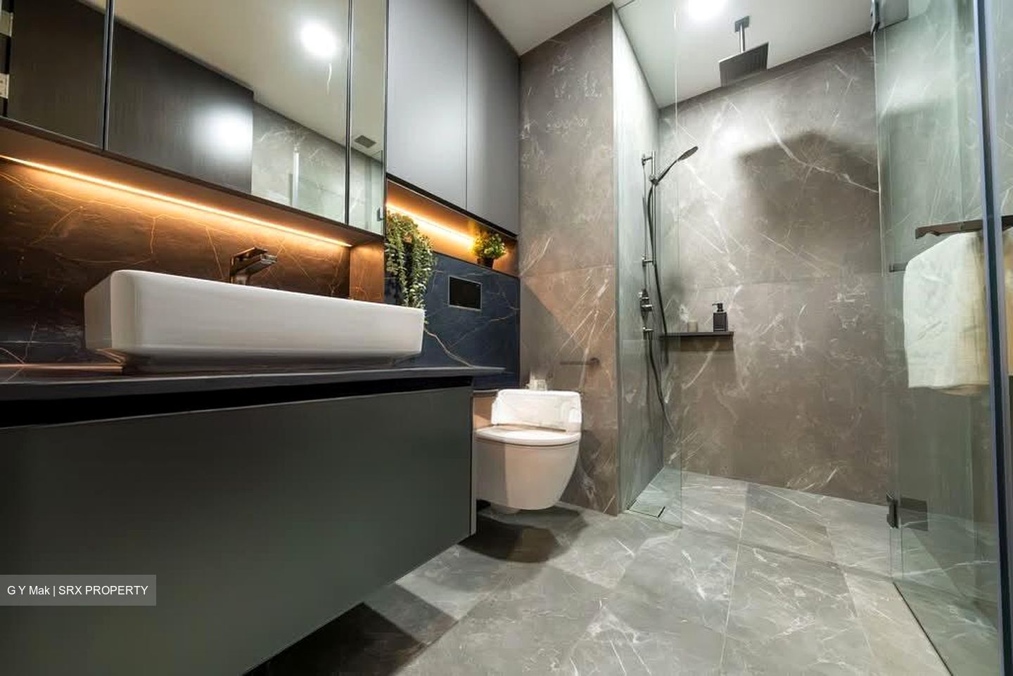 Irwell Hill Residences (D9), Apartment #529599581